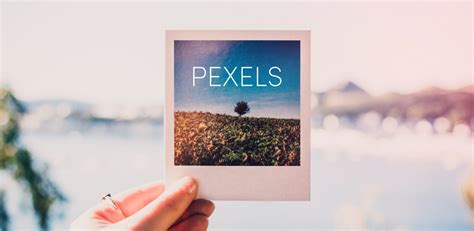 pexels|Pexels: HD+ videos & photos